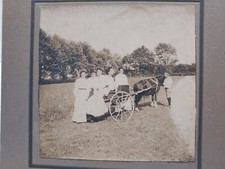WOMEN - PONY - CART - BOY -