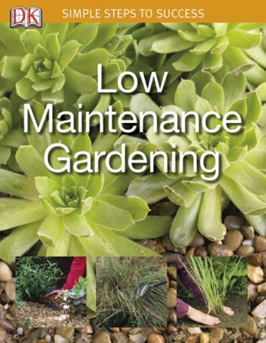 Low maintenance garden - low, (simple