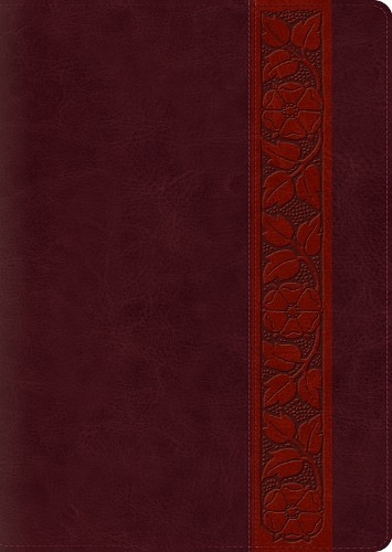 Esv study bible large - esv, print