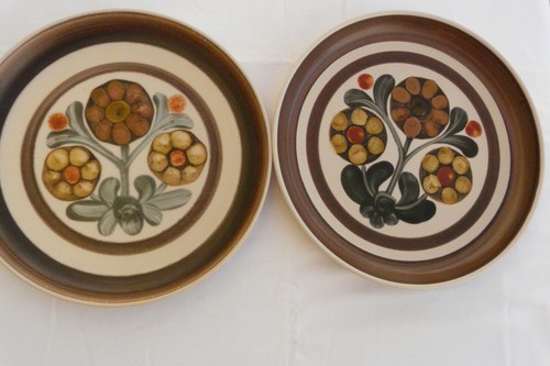 Denby mayflower dinner plates - mayflower,
