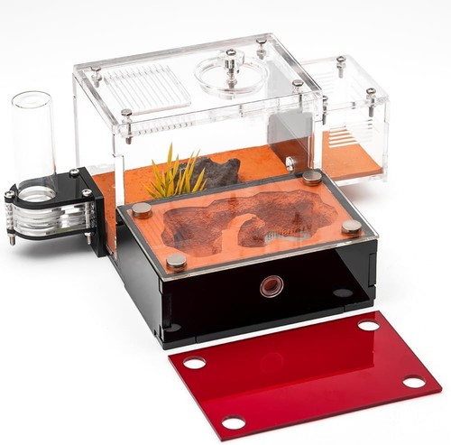 Acrylic ant farm - ant,