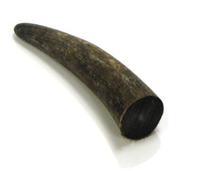 Horn tips for - tips, crafting