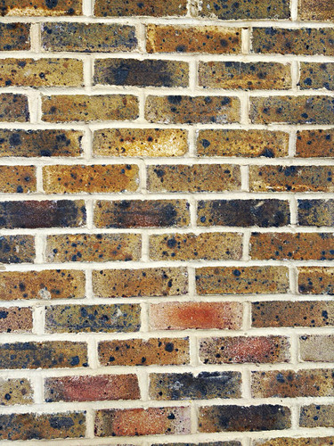 Danehill multi bricks 3 - multi,