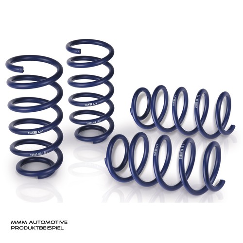 Lowering springs ttg - h&r,