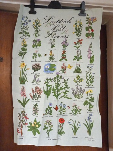 Scottish wild flowers all - scottish,