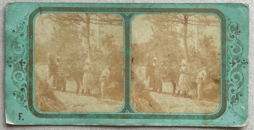 France country scene - france, manure