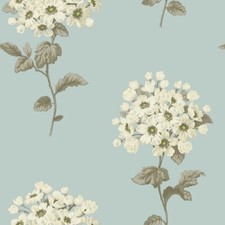 Pom Pom Duck Egg Wallpaper