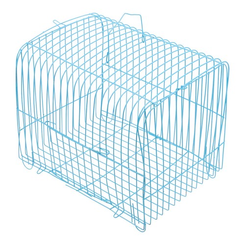 Parrot carrying cage outdoor - parrot,