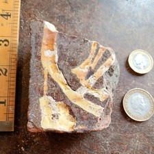 Medieval Church Floor Tile