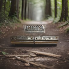 🟢 Architectural Salvage