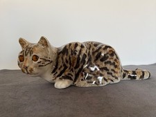 Winstanley Tabby  Cat Size 5