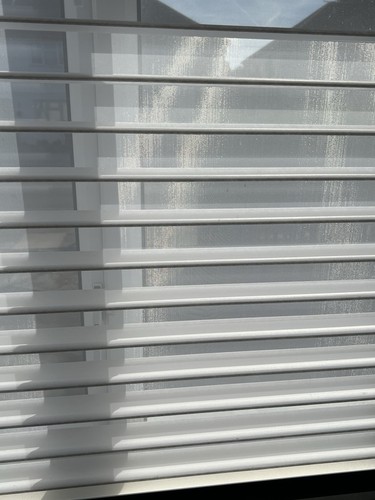 Zebra roller blinds - blinds, dual