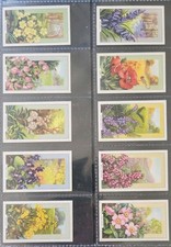 Gallaher Ltd Wild Flowers