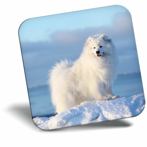 Awesome fridge magnet - awesome,