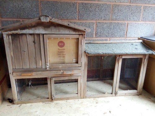 Rabbit hutch with - rabbit,