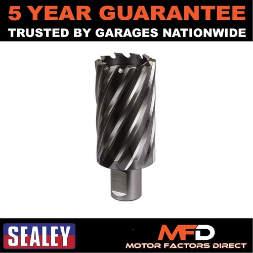 Sealey worksafe 36mm - worksafe�, hss