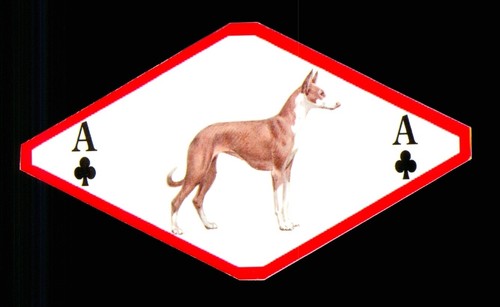 Shaped playing card - 1,