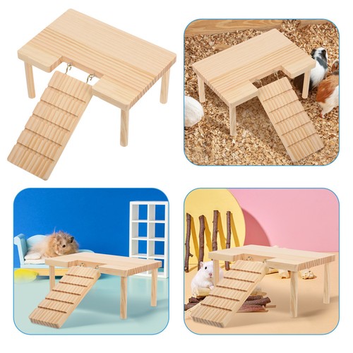 Hamster cage accessories - hamster,