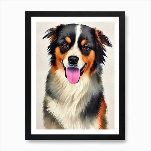 Tibetan spaniel watercolour - spaniel,