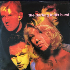 THE DARLING BUDS 'BURST' 12''