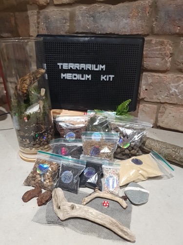 Terrarium kit diy plants - terrarium,