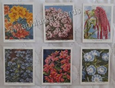 CIGARETTE CARDS · WILLS GARDEN FLOWERS 2nd SERIES · FULL SET · LARGE CARDS