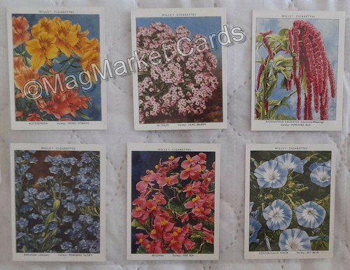 Cigarette cards will s - cards, ·
