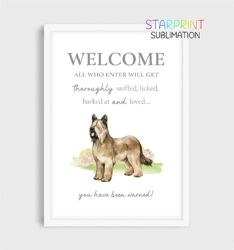 Briard unframed picture - briard,