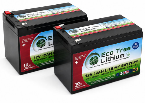 Pair eco tree lithium 12v - 1,