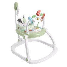 Fisher-Price Baby Bouncer