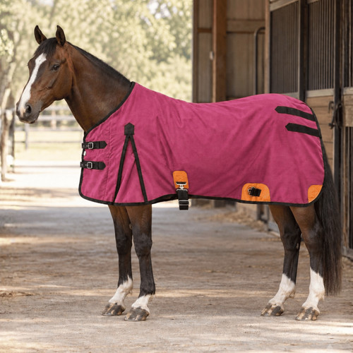 Warm winter horse stable - warm,