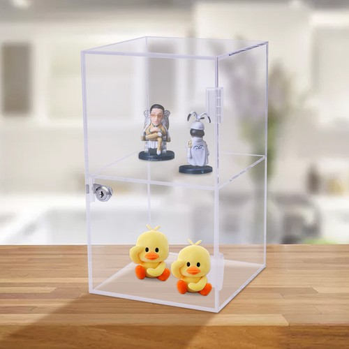 Clear acrylic display case - clear,