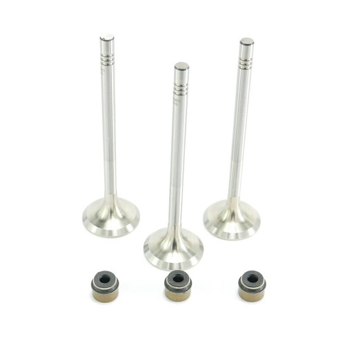 Exhaust valve set for - for, vw