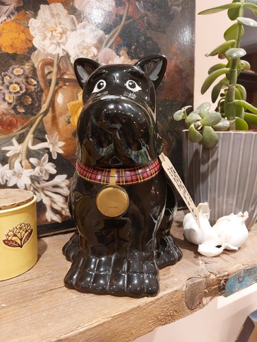 Scottish terrier scottie - scottie, dog