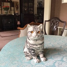 Winstanley grey tabby sitting