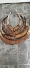 4 PAIRS of Long Horn Cow Horns