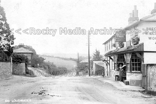 Uuj beech tree inn - beech,