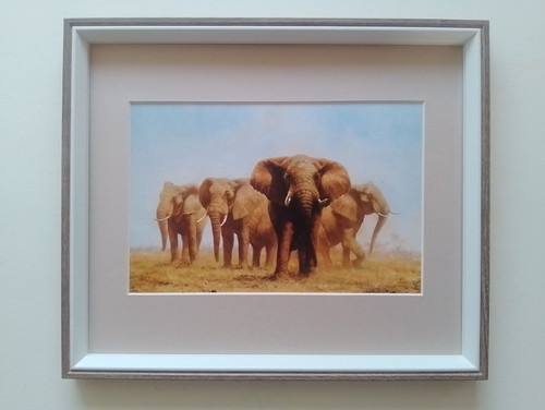David shepherd print four - david, 'four