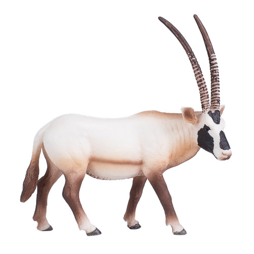 Mojo arabian oryx - mojo, wild