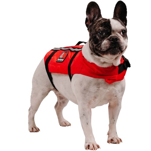 Ocean safety dog - ocean,