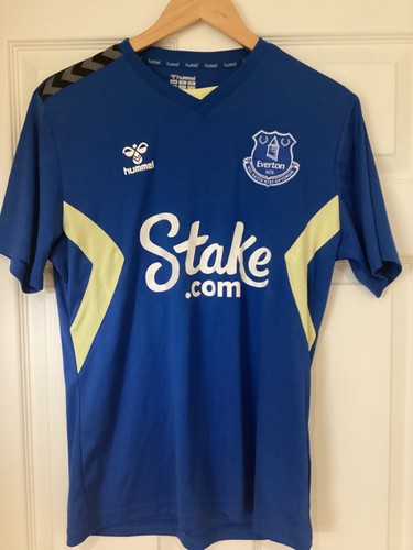 Everton hummel training shirt - hummel,