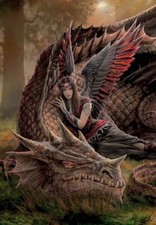 Anne Stokes Winged Companions Dragon Pagan Wicca Alternative Blank Greeting Card