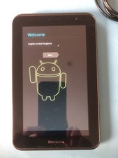 Samsung GT-P3100 16GB Tablet