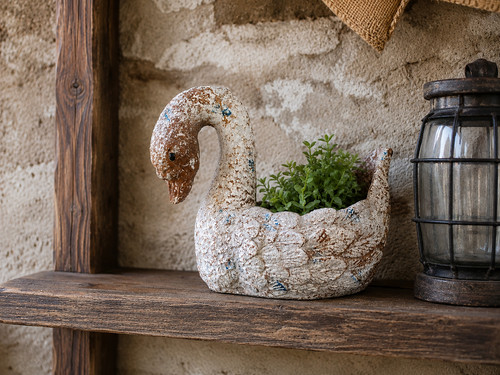Rustic swan planter ornament - planter,