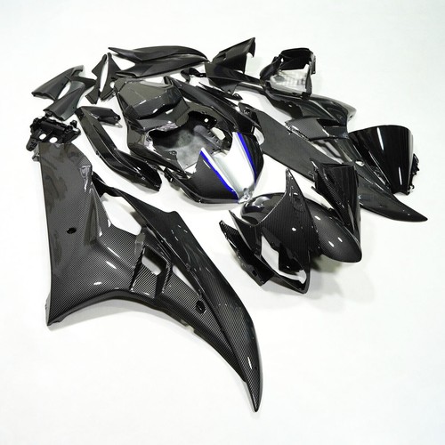 Carbon fiber painted fairing - fiber,