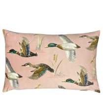 Evans Lichfield Country Duck