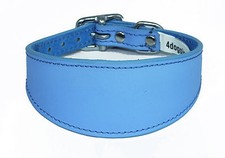 Plain Blue Leather Whippet