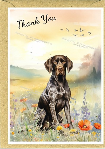 German shorthaired pointer - german,