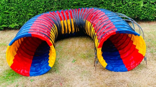 Multi coloured heavy - duty, dog