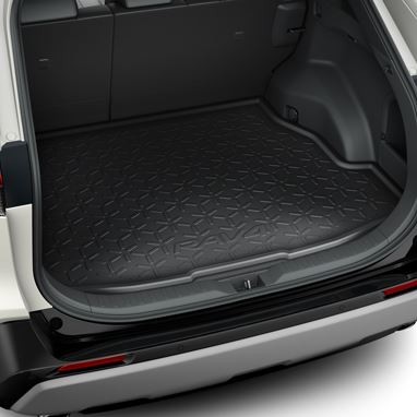 Genuine toyota rav4 2019 - genuine,